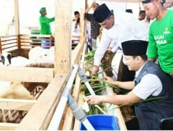 BAZNAS RI kembangkan balai ternak di Pringapus Dongko