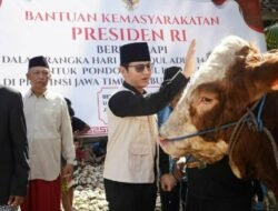 Sapi kurban Presiden Prabowo diserahkan ke PP Kidul Kali Kelutan