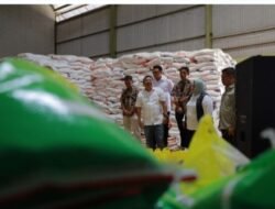 Bapanas pastikan kualitas beras dan jagung Ponorogo terjaga