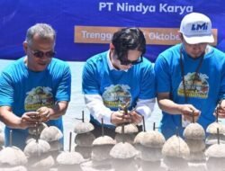 PT Nindya Karya dan LMI tanam Mangrove dan Terumbu Karang di Trenggalek