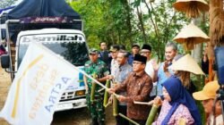 Manisnya Gula Aren Pacitan Mendunia