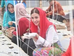 Bunda Novita: “Tanam Cabai di Rumah, Uang Belanja Bisa Utuh!”