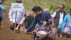 Pemkab & Polres Trenggalek Tancap Gas Tanam Bawang Putih Tekan Impor