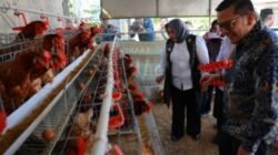 SRT 5 Ponorogo Pukau Ombudsman RI